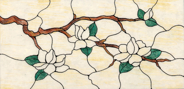 magnoliabranch